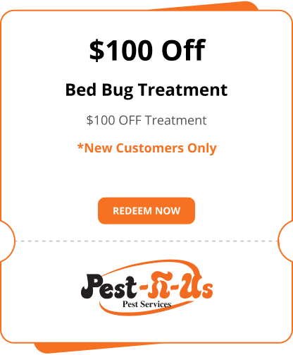 Bed Bug Treatment