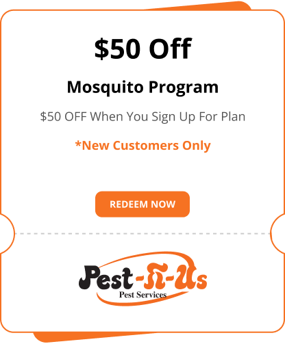 Mosquito Program