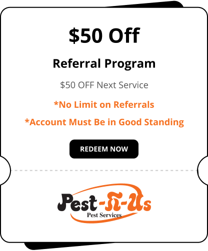 Referral Program