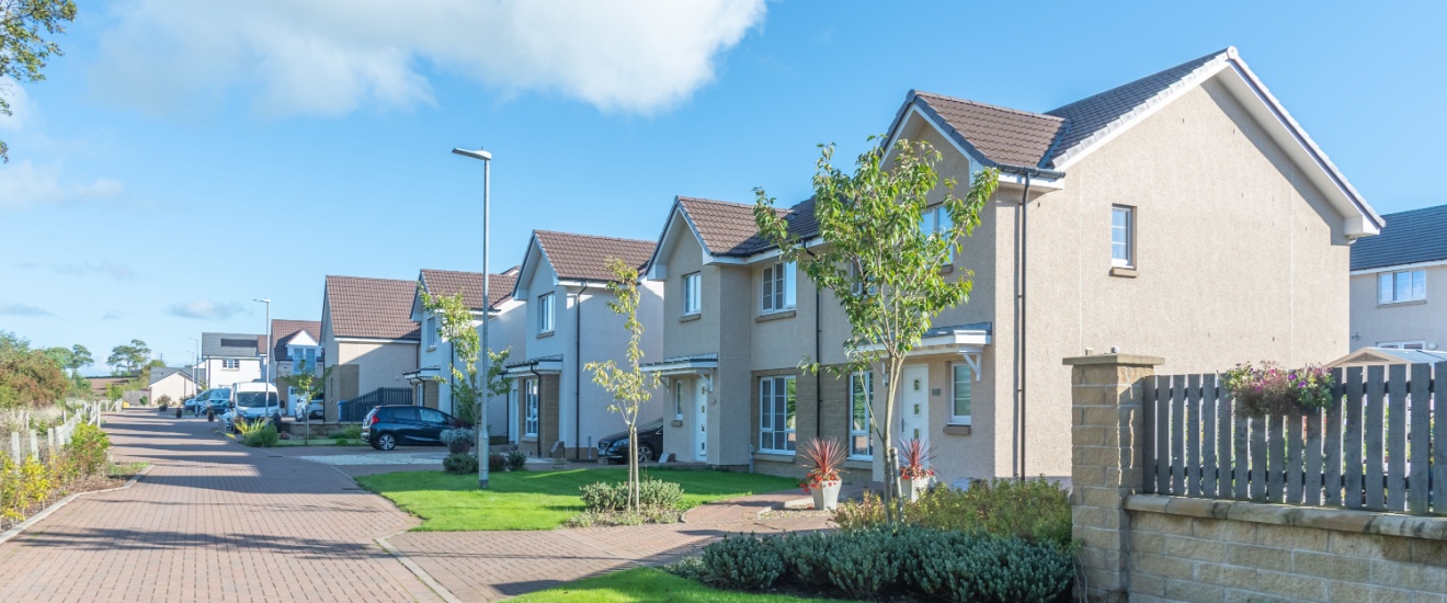 Who’s the Best Pest Control Company for New Homeowners in Santa Clarita, CA?